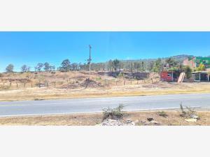 Terreno en venta en Jaripeo, Charo, Michoacán de Ocampo