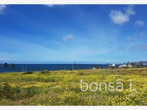 Terreno en venta en El Sauzal, Ensenada, Baja California