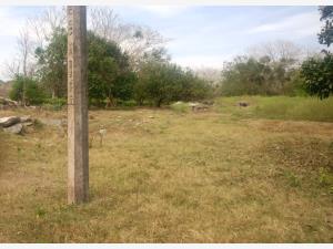 Terreno en venta en Paso Colorado, Boca del Río, Veracruz de Ignacio de la Llave