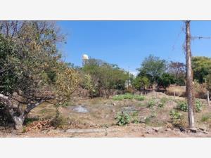 Terreno en venta en Real de Mendoza, Comala, Colima