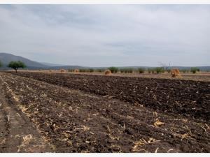 Terreno en venta en El Órgano, San Ciro de Acosta, San Luis Potosí