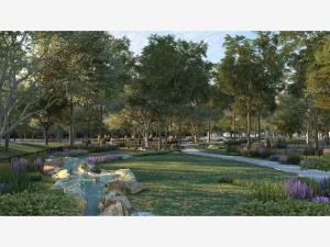 Terreno en venta en Tacubaya, Parras, Coahuila de Zaragoza