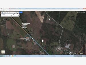 Terreno en venta en Paso del Toro, Medellín de Bravo, Veracruz de Ignacio de la Llave Terreno en venta en Paso del Toro, Medellín de Bravo, Veracruz de Ignacio de la Llave