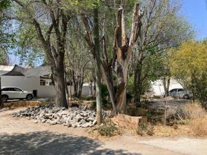 Terreno en venta en Rincon del Montero, Parras, Coahuila de Zaragoza Terreno en venta en Rincon del Montero, Parras, Coahuila de Zaragoza