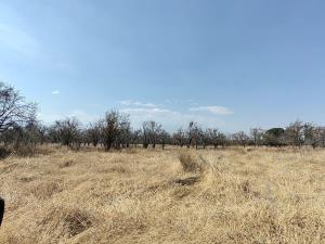 Terreno en venta en Real de Huejotzingo, Huejotzingo, Puebla