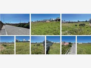 Terreno en venta en Momoxpan, San Pedro Cholula, Puebla