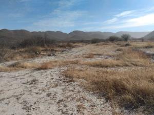 Terreno en venta en Parras de la Fuente Centro, Parras, Coahuila de Zaragoza