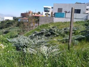Terreno en venta en Burocrata Hipodromo, Tijuana, Baja California
