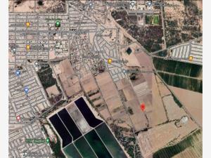 Terreno en venta en La Rosita, Torreón, Coahuila de Zaragoza