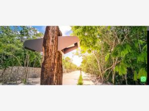 Terreno en venta en Tulum Centro, Tulum, Quintana Roo