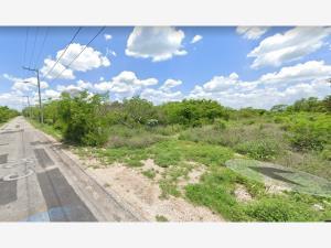 Terreno en venta en Komchen, Mérida, Yucatán