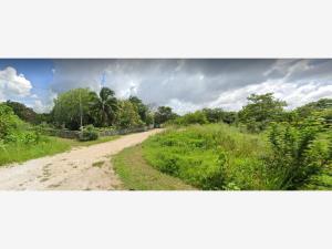 Terreno en venta en Komchen, Mérida, Yucatán