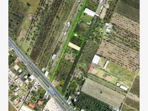 Terreno en venta en Primero, Huejotzingo, Puebla
