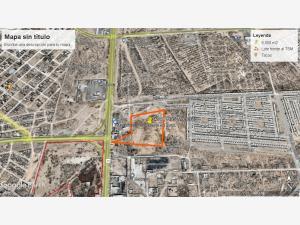 Terreno en venta en Ejido la Perla, Torreón, Coahuila de Zaragoza
