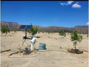 Terreno en venta en Rogelio Montemayor, Parras, Coahuila de Zaragoza