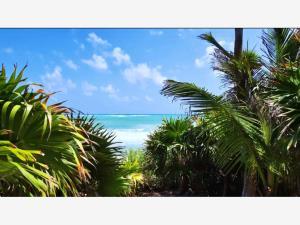 Terreno en venta en Sian Kaan, Othón P. Blanco, Quintana Roo