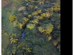 Finca-Rancho en venta en El Zacatal, Jamapa, Veracruz de Ignacio de la Llave