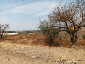 Terreno en venta en Tlaltetelco (San Miguel Tlaltetelco), Atlatlahucan, Morelos