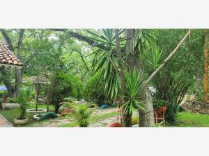 Finca-Rancho en venta en San Francisco, Santiago, Nuevo León Finca-Rancho en venta en San Francisco, Santiago, Nuevo León