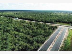 Terreno en venta en Ucu, Ucú, Yucatán