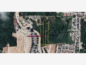 Terreno en venta en Terranova, Emiliano Zapata, Veracruz de Ignacio de la Llave