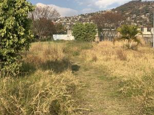 Terreno en venta en Tamoanchan, Jiutepec, Morelos
