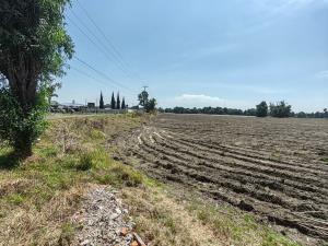 Terreno en venta en Santa Ana Xalmimilulco, Huejotzingo, Puebla