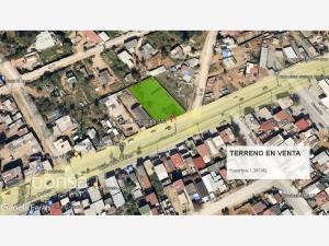 Terreno en venta en Ejido Ruiz Cortines, Ensenada, Baja California