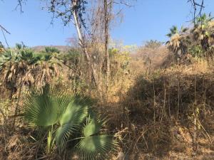 Terreno en venta en Club de Golf Hacienda San Gaspar, Jiutepec, Morelos Terreno en venta en Club de Golf Hacienda San Gaspar, Jiutepec, Morelos