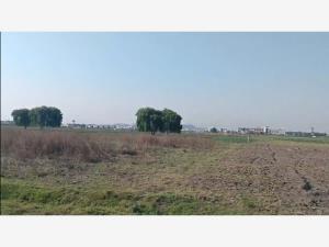 Terreno en venta en San Miguel Totocuitlapilco, Metepec, México