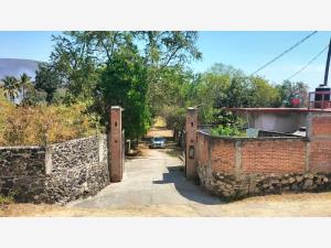 Terreno en venta en Tlaltizapán Centro, Tlaltizapán de Zapata, Morelos