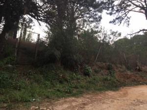Terreno en venta en Lomas de Tzompantle, Cuernavaca, Morelos