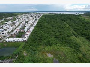 Terreno en venta en Lomas de la Rioja, Alvarado, Veracruz de Ignacio de la Llave Terreno en venta en Lomas de la Rioja, Alvarado, Veracruz de Ignacio de la Llave