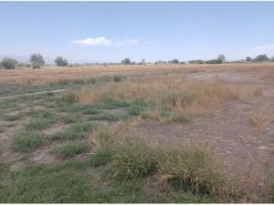 Terreno en venta en Alvaro Obregon, Lerdo, Durango