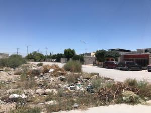 Terreno en venta en San Antonio, Gómez Palacio, Durango