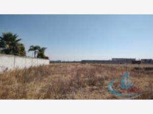 Terreno en venta en San Bernardino Tlaxcalancingo, San Andrés Cholula, Puebla