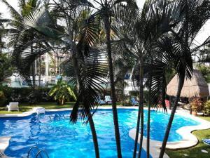 Departamento en renta en Puerto Aventuras, Solidaridad, Quintana Roo