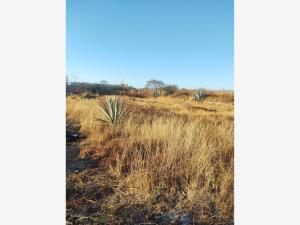 Terreno en venta en Guiengola, Santo Domingo Tehuantepec, Oaxaca