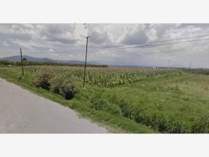 Terreno en venta en La Constitucion Totoltepec, Toluca, México