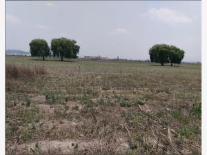 Terreno en venta en San Miguel Totocuitlapilco, Metepec, México