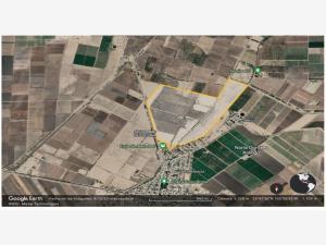 Finca-Rancho en venta en Concordia (La Rosita), San Pedro, Coahuila de Zaragoza