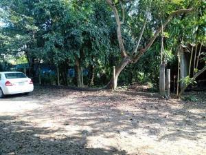 Terreno en venta en La Aguada, Alvarado, Veracruz de Ignacio de la Llave