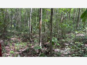 Terreno en venta en Buenavista, Bacalar, Quintana Roo