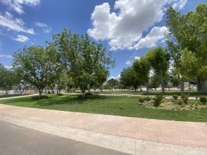 Terreno en venta en La Joya, Arteaga, Coahuila de Zaragoza