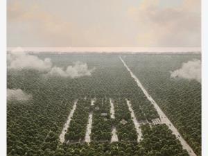 Terreno en venta en Tulum Centro, Tulum, Quintana Roo