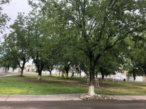 Terreno en venta en Las Trojes, Torreón, Coahuila de Zaragoza Terreno en venta en Las Trojes, Torreón, Coahuila de Zaragoza