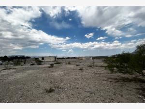 Terreno en renta en Los Laureles, Arteaga, Coahuila de Zaragoza