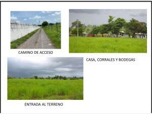 Terreno en venta en El Pando, Veracruz, Veracruz de Ignacio de la Llave