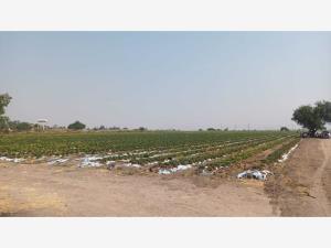 Terreno en venta en Colinas del Sur, Silao de la Victoria, Guanajuato