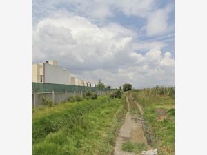 Terreno en venta en San Miguel Totocuitlapilco, Metepec, México